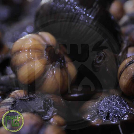 سیر ترشی هفت ساله با شیره خرما سوغات قاسم 35